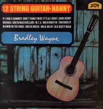 12 String Guitar Nanny