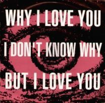 Why I Love You I Don't Know Why