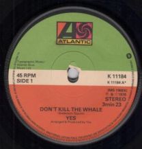 Don't Kill The Whale