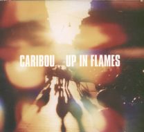 Up In Flames (Special Edition)