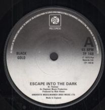 Escape Into The Dark