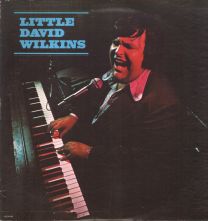 Little David Wilkins