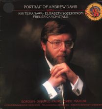Portrait Of Andrew Davis