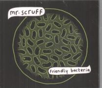 Friendly Bacteria