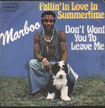 Fallin' In Love In Summertime / Don't Wont You To Leave Me