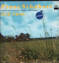 Franz Schubert - Piano Trio In B Flat Major / Notturno