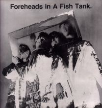 Foreheads In A Fish Tank