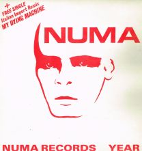 Numa Records Year 1
