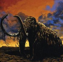 Rise Of The Mammoth