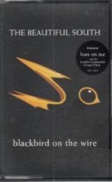 Blackbird On The Wire