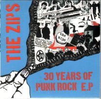 30 Years Of Punk Rock