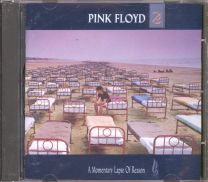 A Momentary Lapse Of Reason