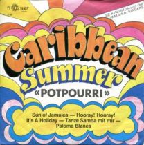 Caribbean Summer  Potpourri