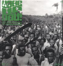 Wake Up You! The Rise And Fall Of Nigerian Rock 1972-1977 Vol. 2
