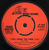 I Will Drink The Wine
