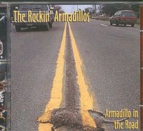 Armadillo In The Road