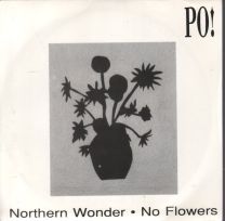 Northern Wonder / No Flowers
