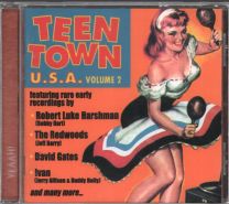 Teen Town U.s.a. Volume 2