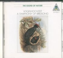 Vogelhochzeit • A Symphony Of Birdsong