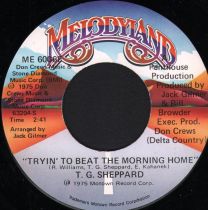 Tryin' To Beat The Morning Home