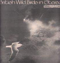 British Wild Birds In Stereo