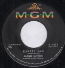 Karate Sam