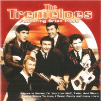 Tremeloes - Featuring Brian Poole
