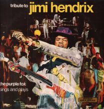 Tribute To Jimi Hendrix