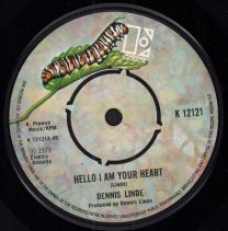 Hello I Am Your Heart