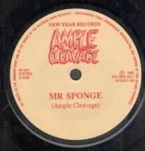 Mr Sponge