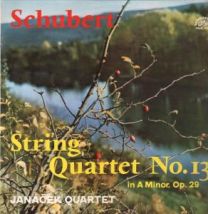 Schubert - String Quartet No.13 In A Minor, Op.29