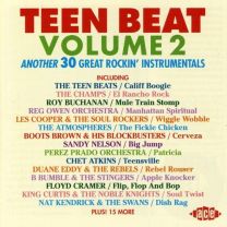 Teen Beat Vol.2