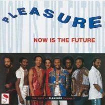 Best of Pleasure Vol.2: Now Is the Future