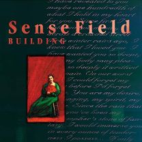 Sensefield-Building