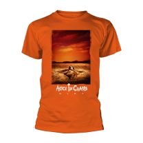 Plastic Head Alice In Chains 'dirt Album Text' (Orange) T-Shirt (As8, Alpha, M, Regular, Regular) - Medium
