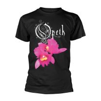 Orchid - Large