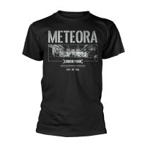 Linkin Park Meteora Wall Art T-Shirt, Multicoloured, M - Medium