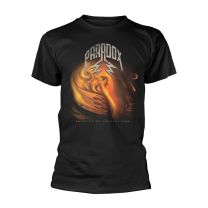 Paradox T Shirt Product of Imagination Band Logo Official Mens Black S - Small
