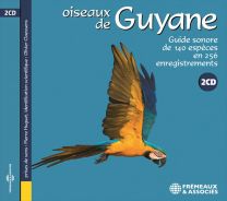 Oiseaux de Guyane