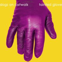 Tainted Glove