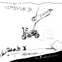 Ear Bleeding Country: the Best of Dinosaur Jr.