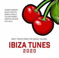 Ibiza Tunes 2020 (2cd)