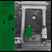 Smalltown Stardust - Jalapeno Green Colored Vinyl