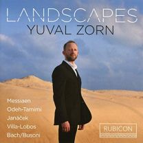 Yuval Zorn: Landscapes