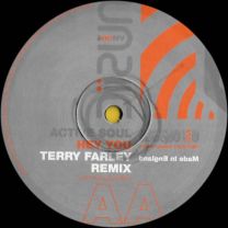 Hey You (Terry Farley Remixes)