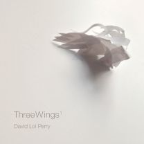 Three Wings 1