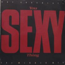 You Sexy Thing (The Winner Mix)