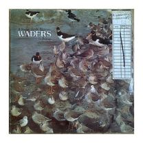 A Sound Guide To Waders In Britain