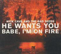 He Wants You/Babe I'm On Fire UK 4-Trk CD Single New/Unplayed