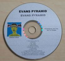 Evans Pyramid 2012 UK 12-Track Promo Test CD   Press Release